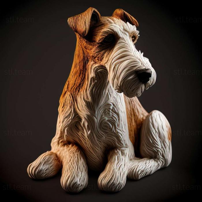 Wire  haired fox terrier dog